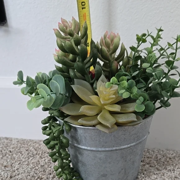 Succulent Arrangement in Gray Metal Pot - Picture 8 of 9
